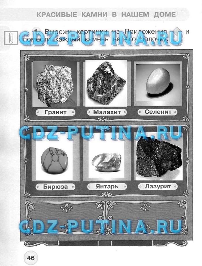 гдз 1 класс Рабочая тетрадь: часть 1, 2 страница 46 Окружающий  мир Плешаков А.А., Новицкая М.Ю.