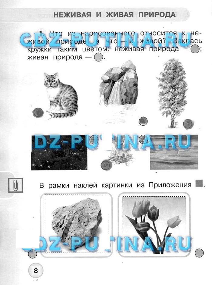 гдз 1 класс Рабочая тетрадь: часть 1, 2 страница 8 Окружающий  мир Плешаков А.А., Новицкая М.Ю.