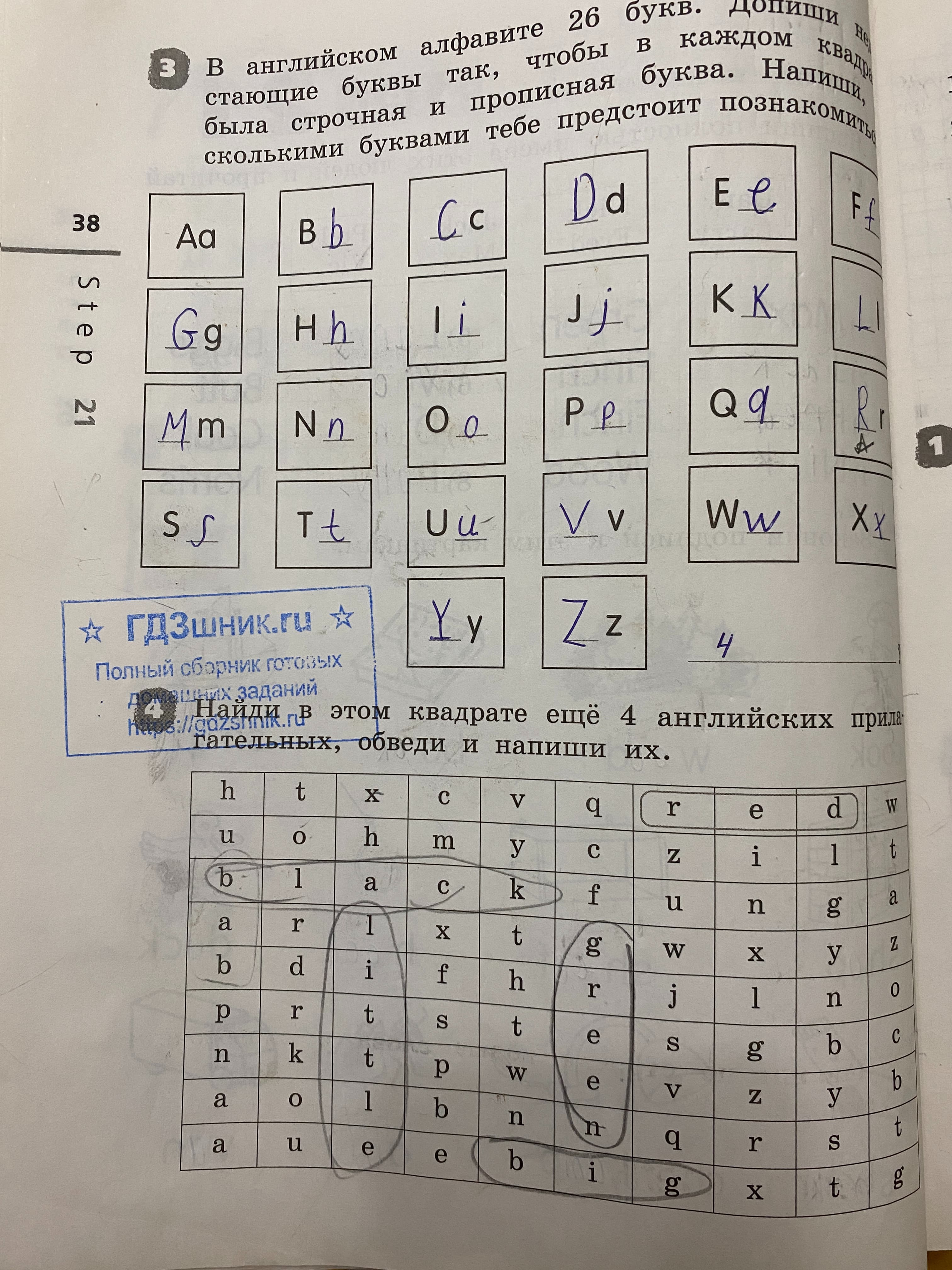 гдз 2 класс рабочая тетрадь Rainbow English страница 38 Английский язык Афанасьева О.В., Михеева И.В. 