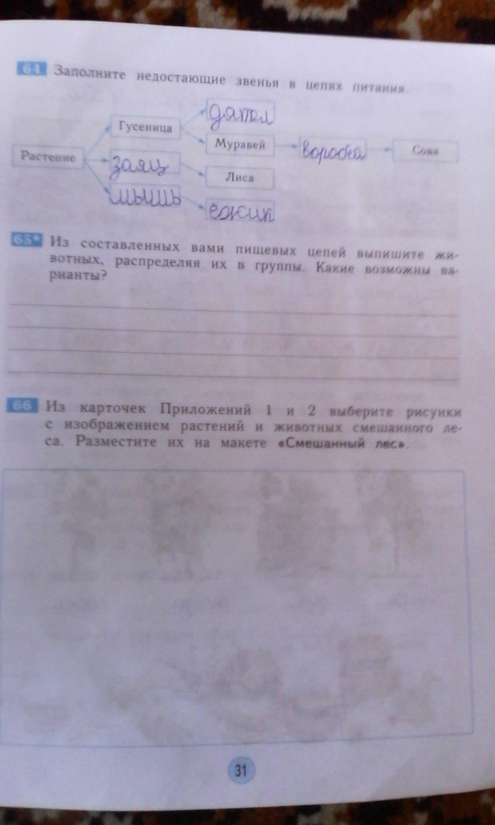 гдз 3 класс Рабочая тетрадь страница 31 Окружающий мир Дмитриева Н.Я., Казаков А.Н.