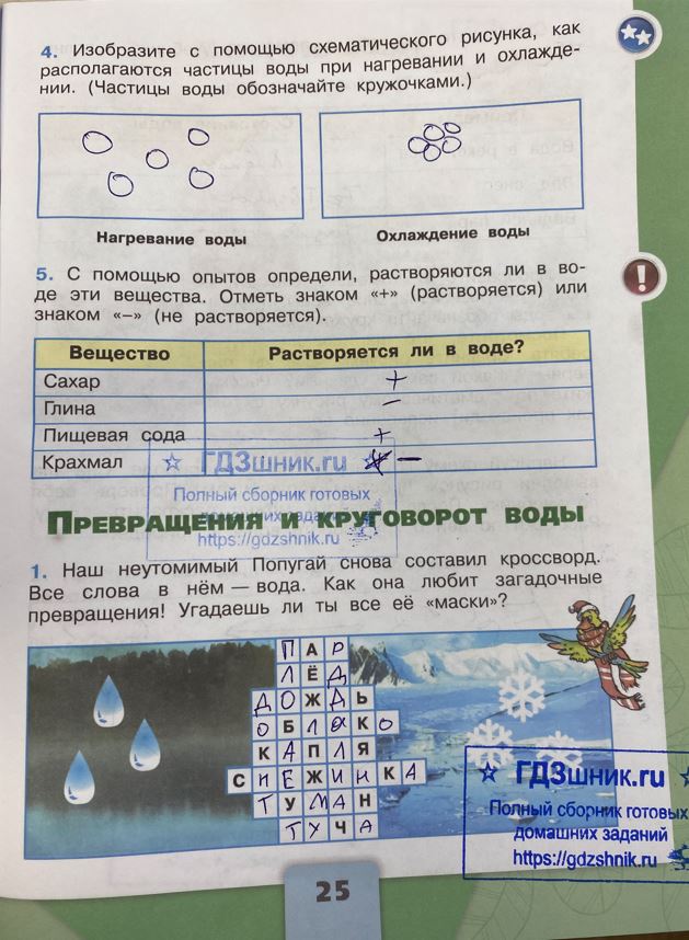 гдз 3 класс Рабочая тетрадь по окружающему миру 1,2 части Просвещение ФГОС Школа России  страница 25 Плешаков А.А.