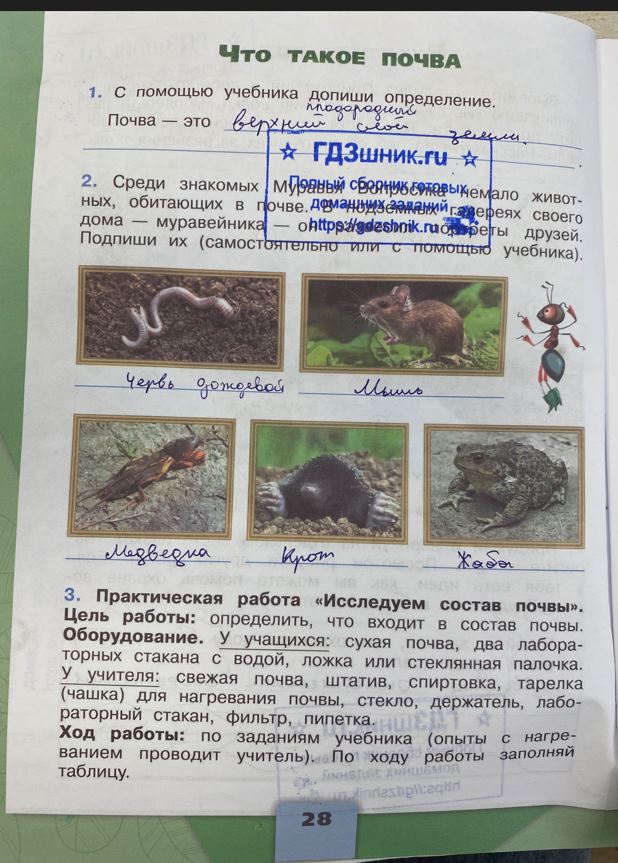 гдз 3 класс Рабочая тетрадь по окружающему миру 1,2 части Просвещение ФГОС Школа России  страница 28 Плешаков А.А.