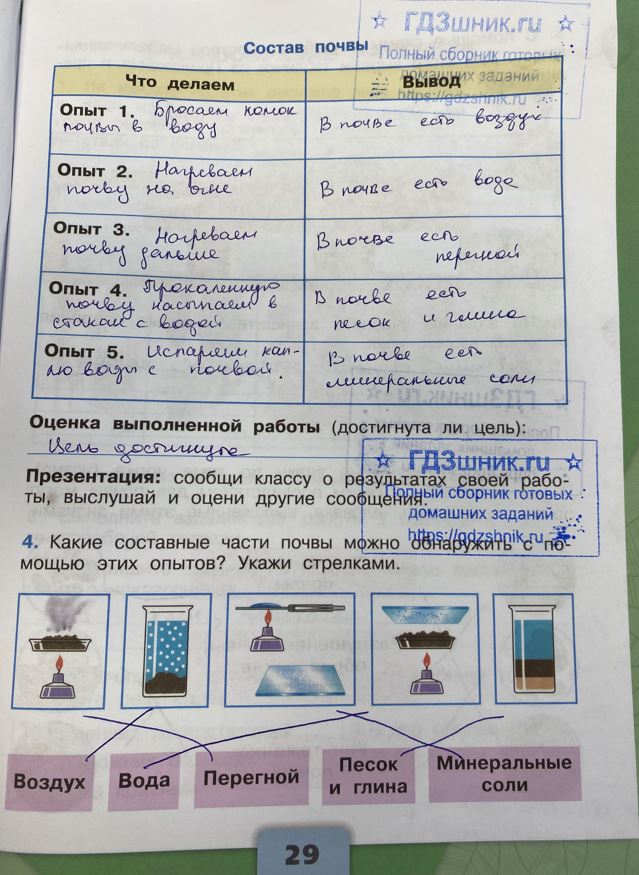 гдз 3 класс Рабочая тетрадь по окружающему миру 1,2 части Просвещение ФГОС Школа России  страница 29 Плешаков А.А.