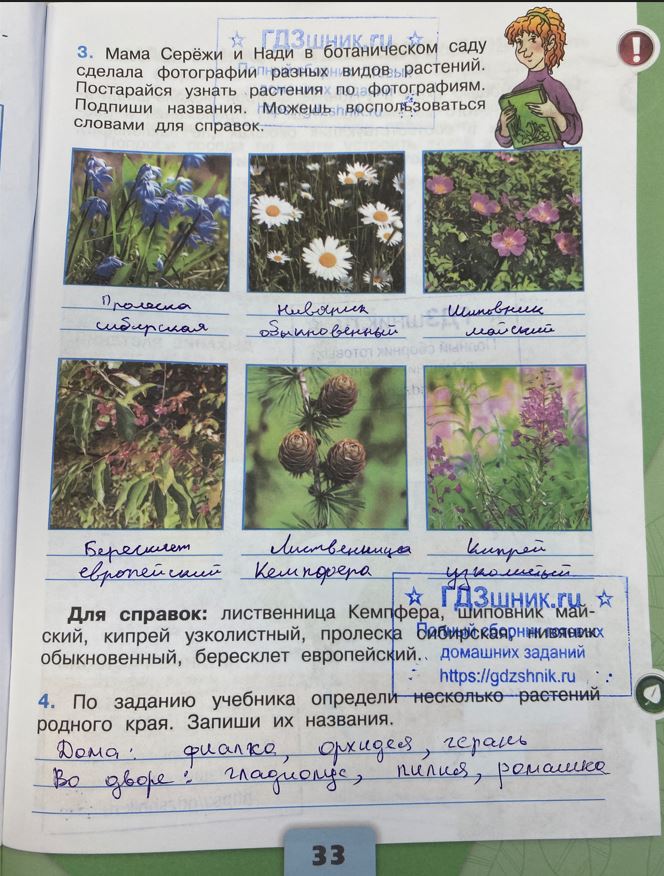 гдз 3 класс Рабочая тетрадь по окружающему миру 1,2 части Просвещение ФГОС Школа России  страница 33 Плешаков А.А.