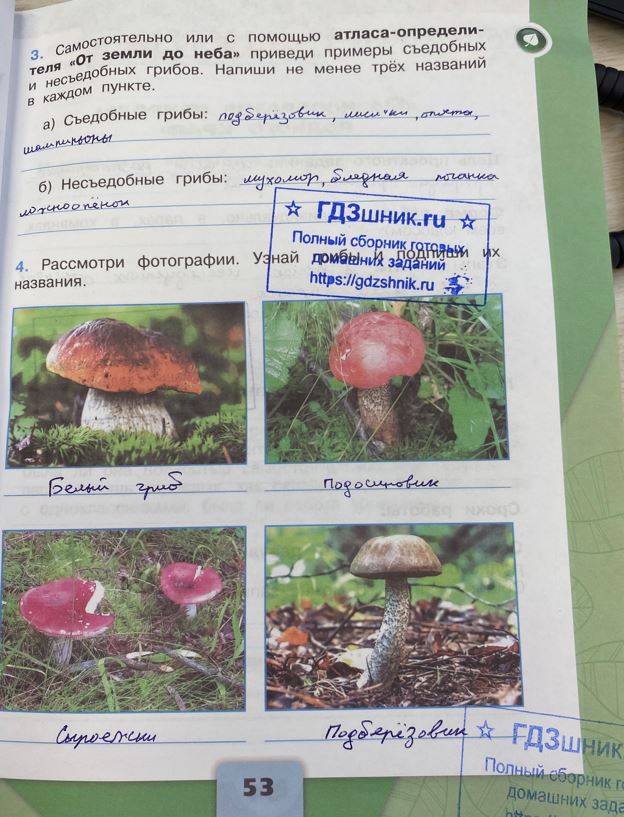гдз 3 класс Рабочая тетрадь по окружающему миру 1,2 части Просвещение ФГОС Школа России  страница 53 Плешаков А.А.