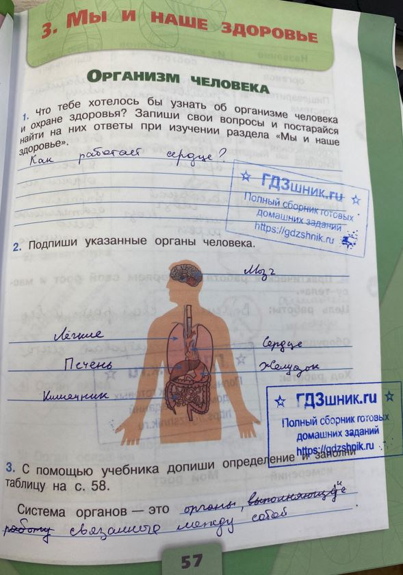 гдз 3 класс Рабочая тетрадь по окружающему миру 1,2 части Просвещение ФГОС Школа России  страница 57 Плешаков А.А.