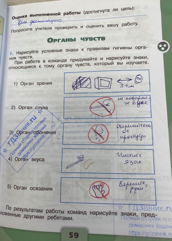 гдз 3 класс Рабочая тетрадь по окружающему миру 1,2 части Просвещение ФГОС Школа России  страница 59 Плешаков А.А.