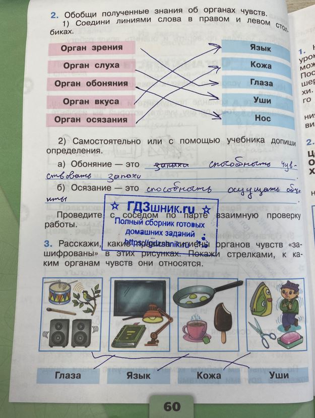 гдз 3 класс Рабочая тетрадь по окружающему миру 1,2 части Просвещение ФГОС Школа России  страница 60 Плешаков А.А.
