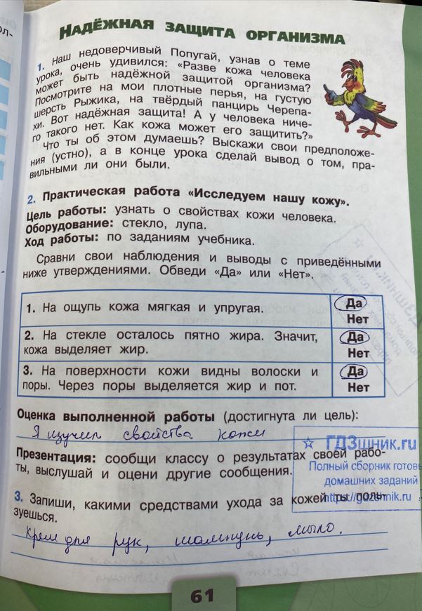 гдз 3 класс Рабочая тетрадь по окружающему миру 1,2 части Просвещение ФГОС Школа России  страница 61 Плешаков А.А.