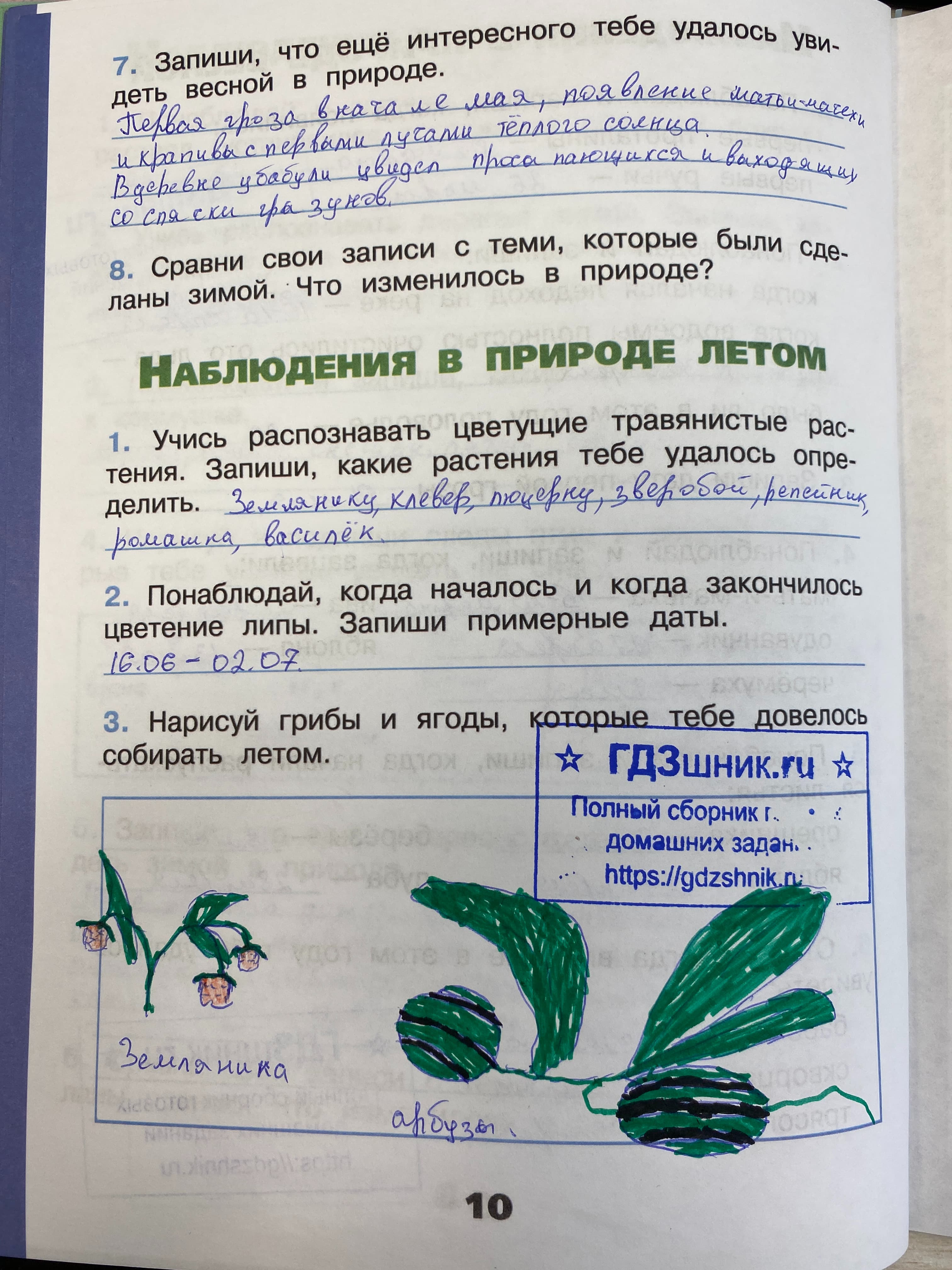 гдз 3 класс Рабочая тетрадь по окружающему миру 1,2 части Просвещение ФГОС Школа России  страница 84 Плешаков А.А.