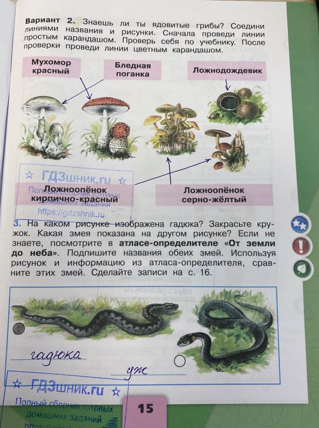 гдз 3 класс Рабочая тетрадь часть: 2 страница 15 Плешаков А.А.