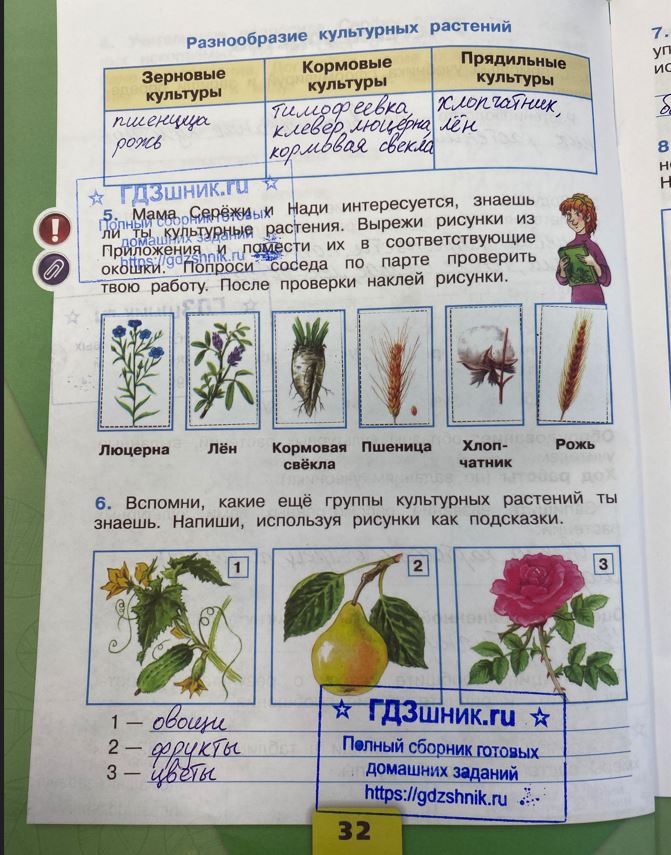 гдз 3 класс Рабочая тетрадь часть: 2 страница 32 Плешаков А.А.
