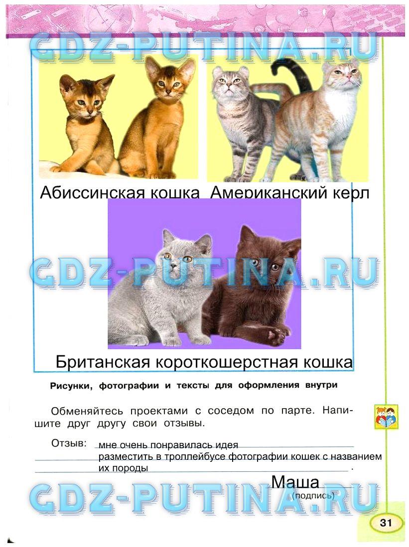 гдз 3 класс Рабочая тетрадь: часть 1, 2 страница 31 Окружающий мир Плешаков А.А., Новицкая М.Ю.