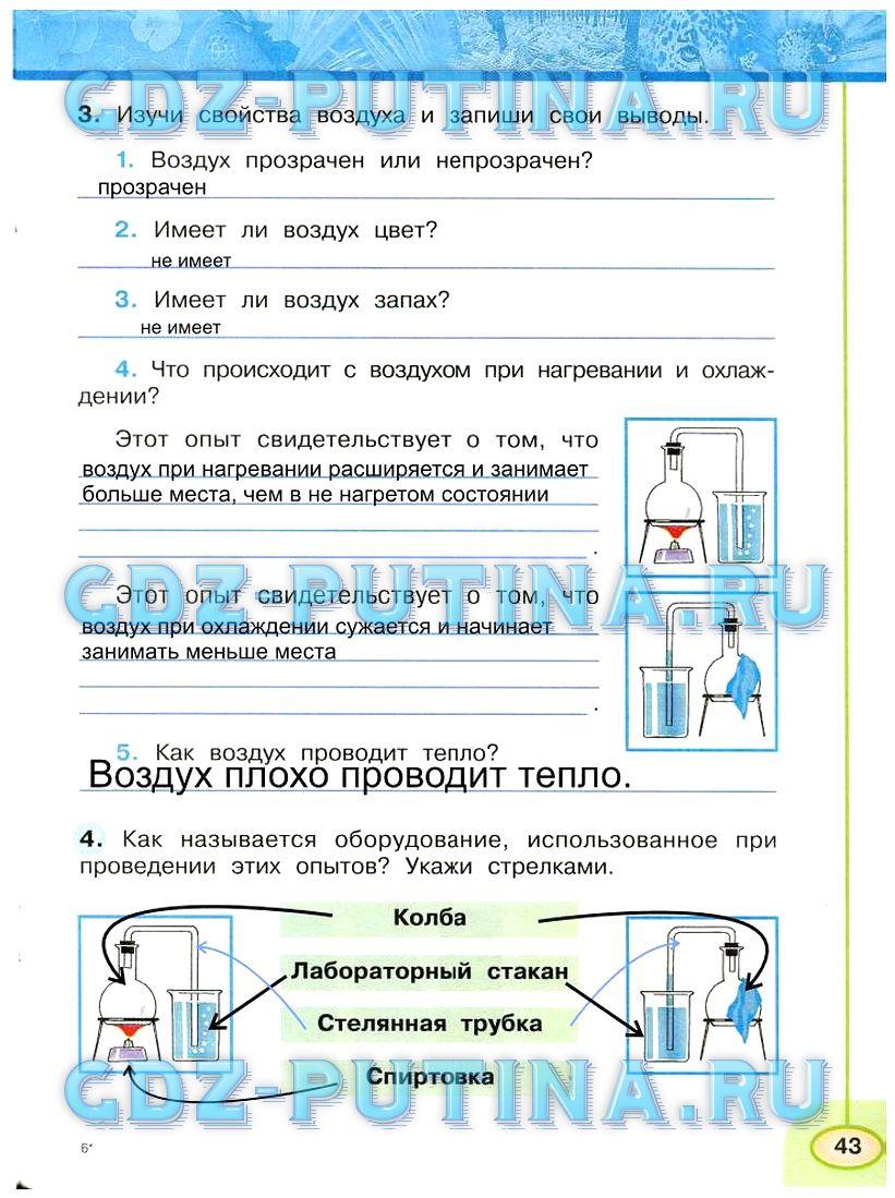 гдз 3 класс Рабочая тетрадь: часть 1, 2 страница 43 Окружающий мир Плешаков А.А., Новицкая М.Ю.