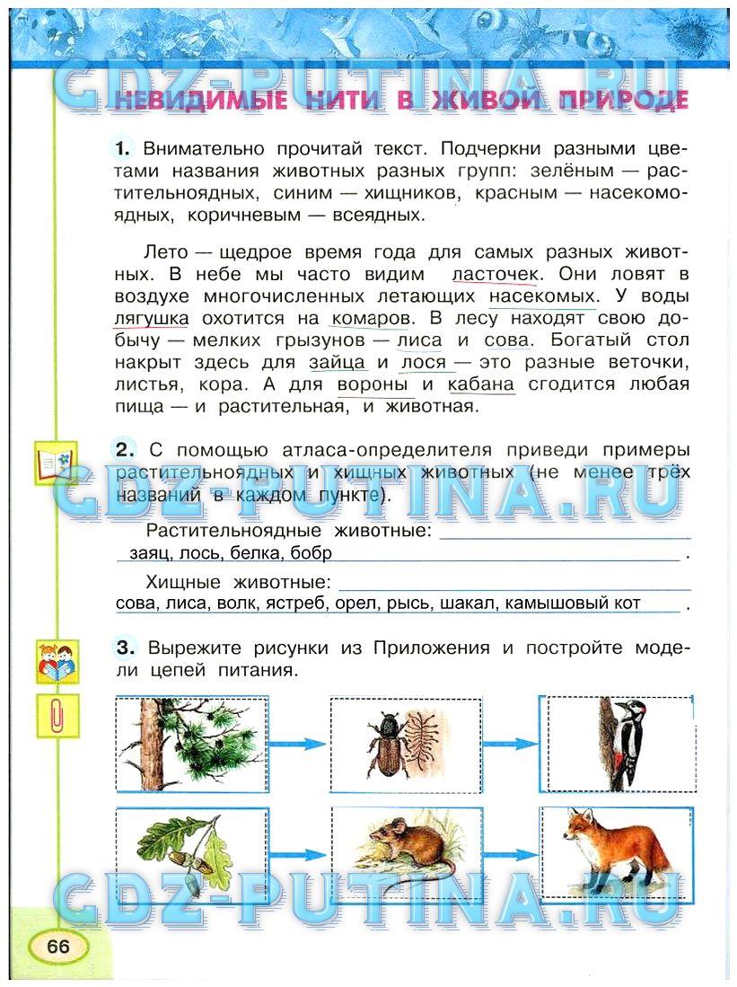 гдз 3 класс Рабочая тетрадь: часть 1, 2 страница 66 Окружающий мир Плешаков А.А., Новицкая М.Ю.