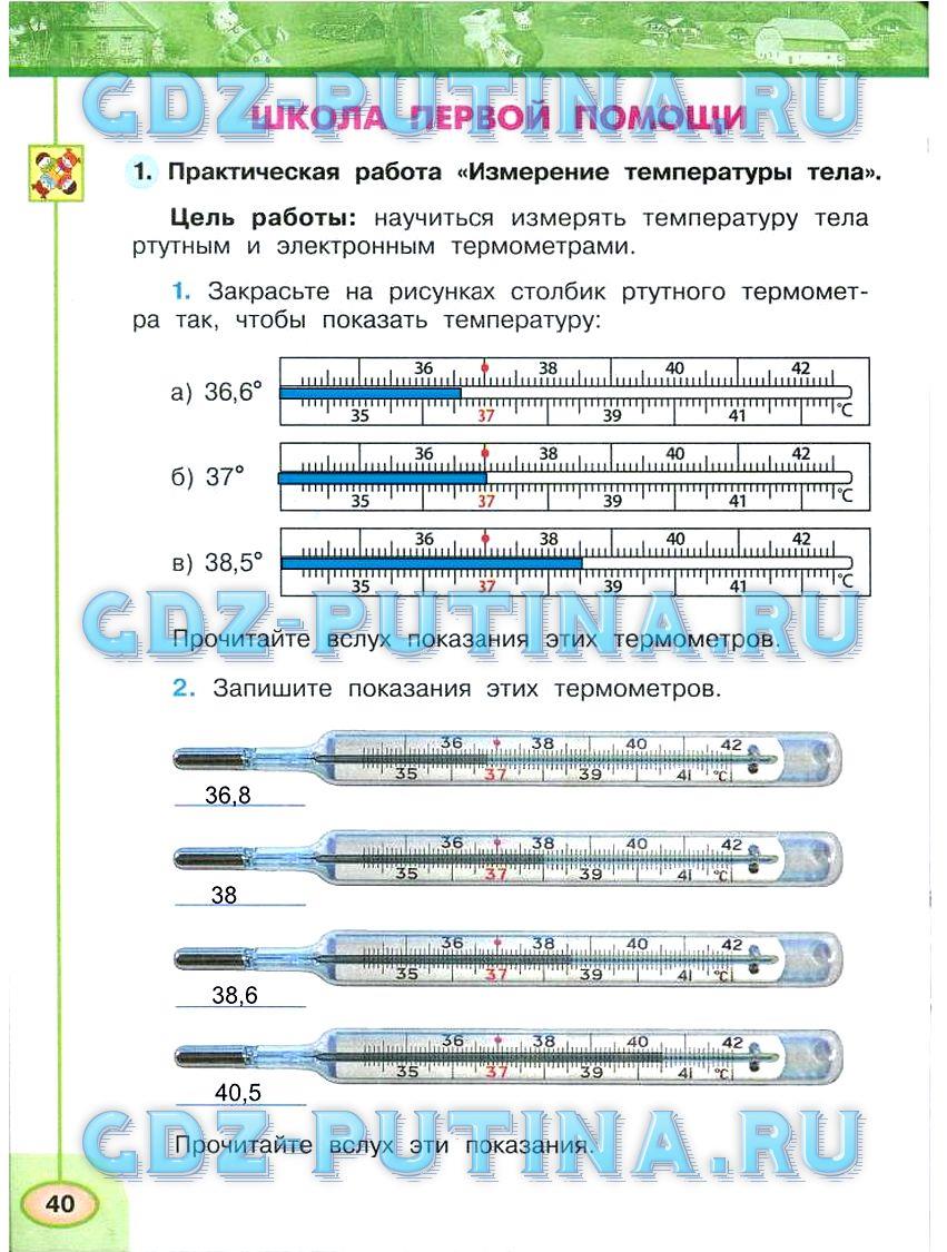 гдз 3 класс Рабочая тетрадь: часть 1, 2 страница 40 Окружающий мир Плешаков А.А., Новицкая М.Ю.