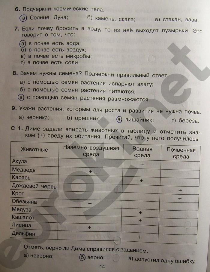 гдз 4 класс Тренажер страница 14 Окружающий мир Мишакина Т.Л., Гладкова С.А., Чижикова С.Б.
