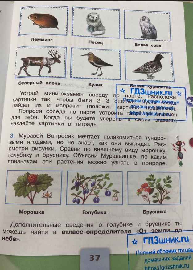 гдз 4 класс Рабочая тетрадь по окружающему миру 1,2 части Просвещение ФГОС Школа России  страница 37 Плешаков А.А., Крючкова Е.А.