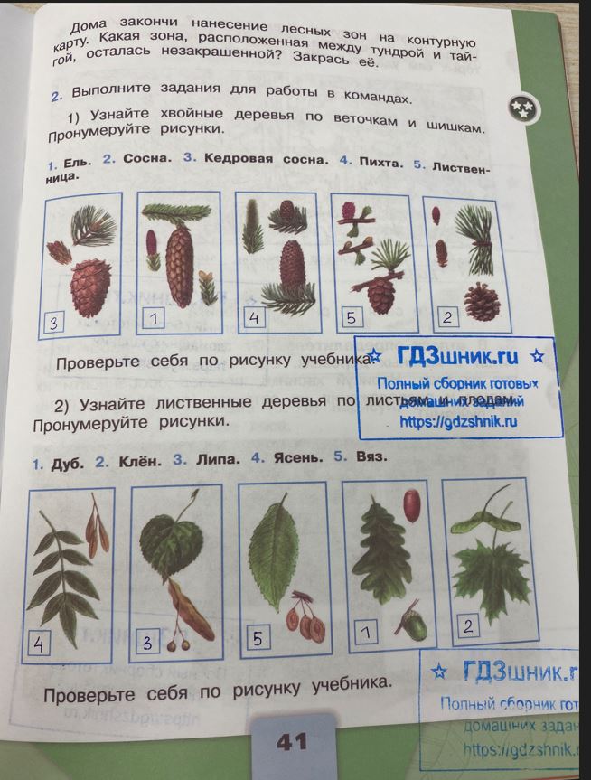 гдз 4 класс Рабочая тетрадь по окружающему миру 1,2 части Просвещение ФГОС Школа России  страница 41 Плешаков А.А., Крючкова Е.А.