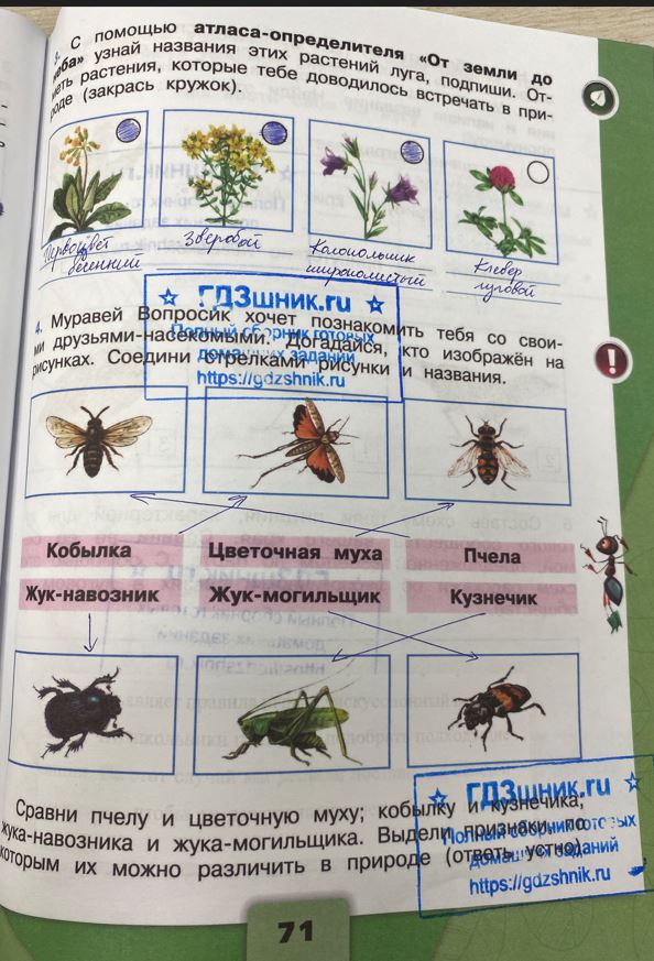 гдз 4 класс Рабочая тетрадь по окружающему миру 1,2 части Просвещение ФГОС Школа России  страница 71 Плешаков А.А., Крючкова Е.А.