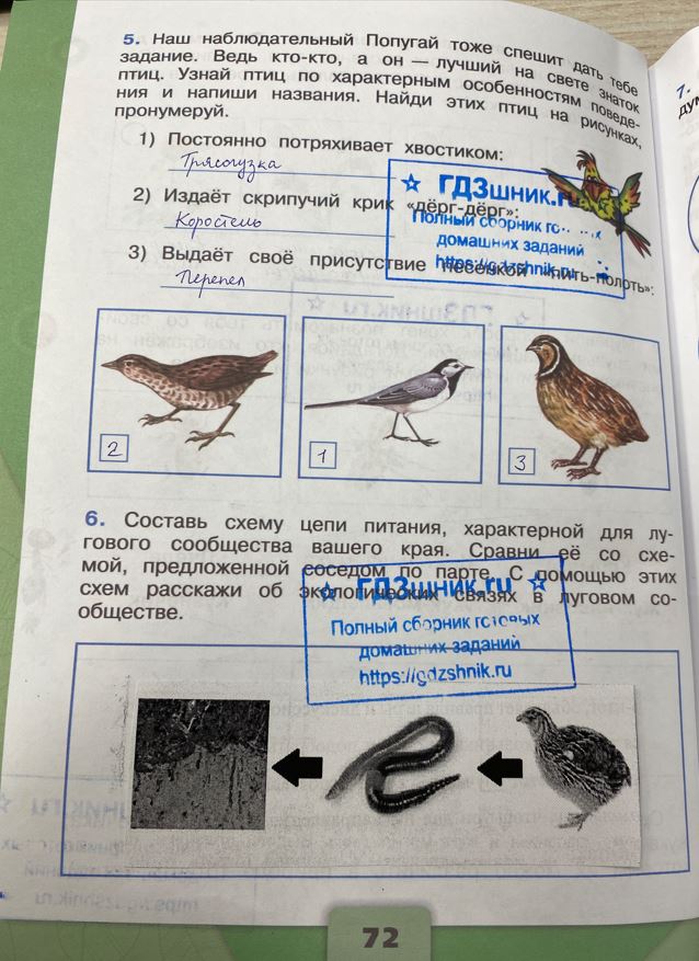 гдз 4 класс Рабочая тетрадь по окружающему миру 1,2 части Просвещение ФГОС Школа России  страница 72 Плешаков А.А., Крючкова Е.А.