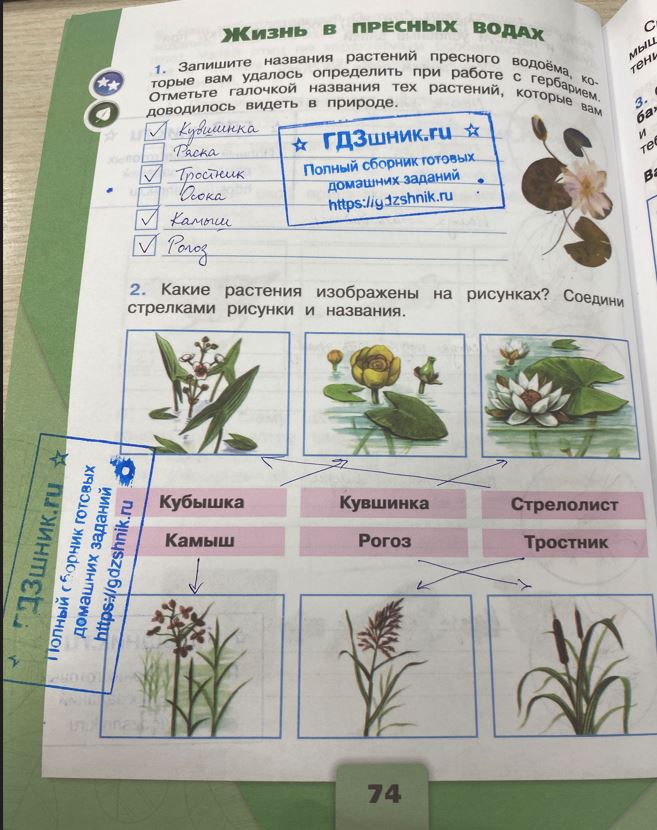 гдз 4 класс Рабочая тетрадь по окружающему миру 1,2 части Просвещение ФГОС Школа России  страница 74 Плешаков А.А., Крючкова Е.А.