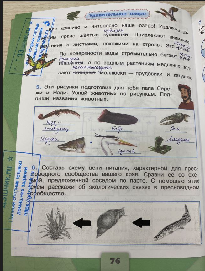 гдз 4 класс Рабочая тетрадь по окружающему миру 1,2 части Просвещение ФГОС Школа России  страница 76 Плешаков А.А., Крючкова Е.А.