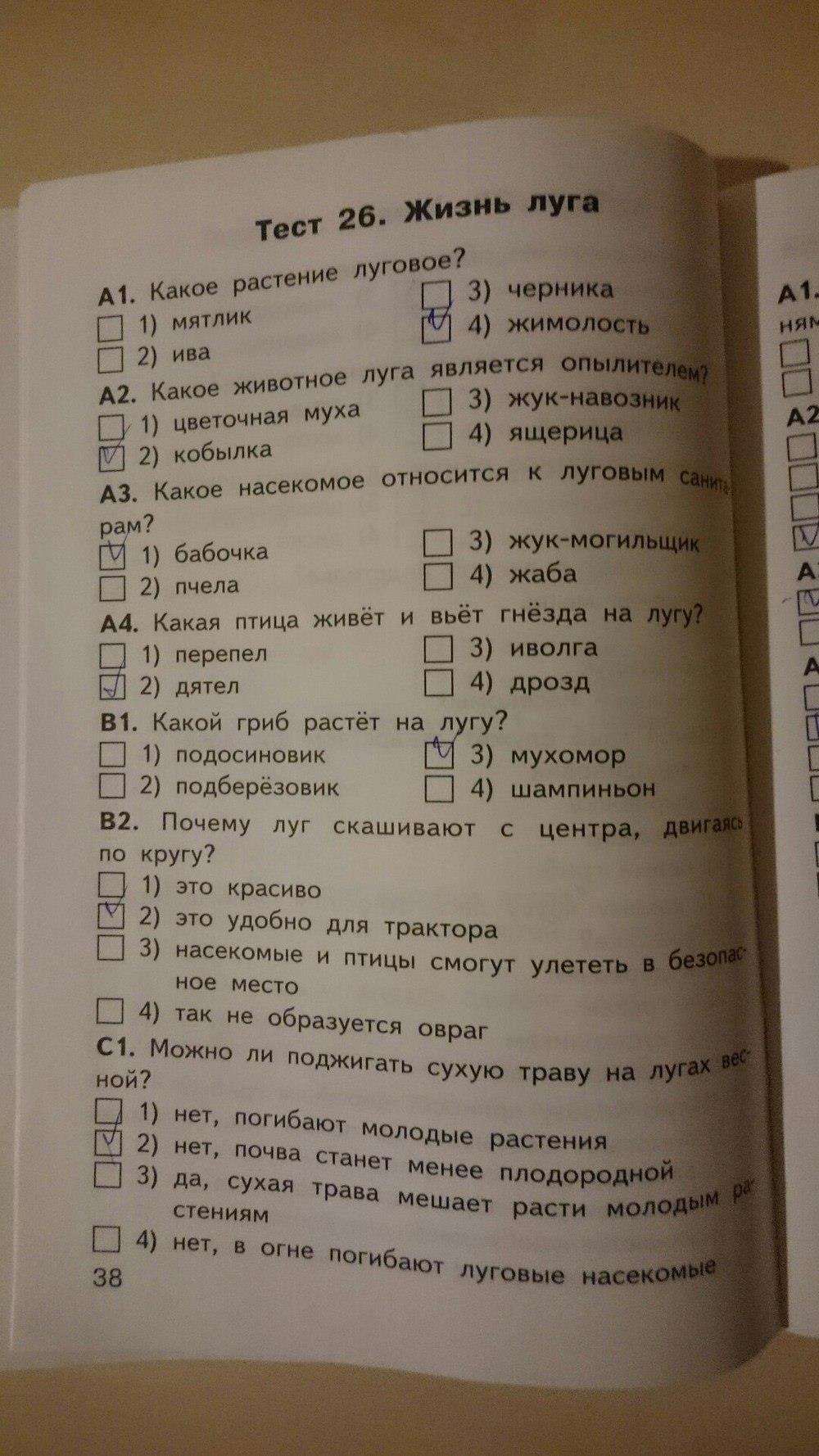 гдз 4 класс Контрольно-измерительные материалы страница 38 Окружающий мир Яценко И.Ф.