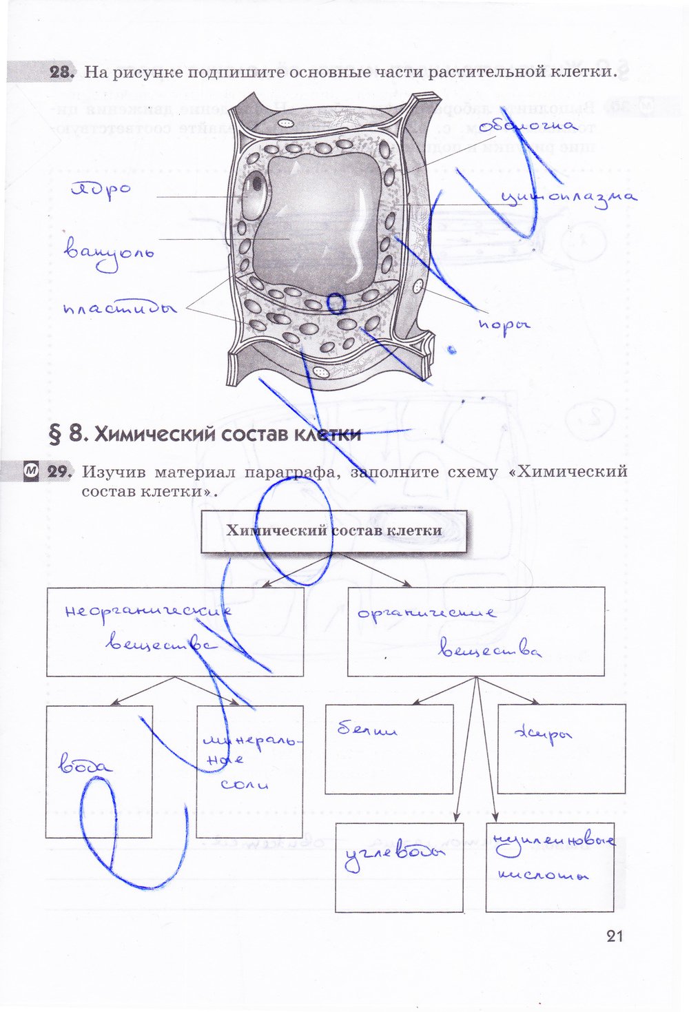 гдз 5  класс Рабочая тетрадь страница 21 Биология Пасечник В.В.