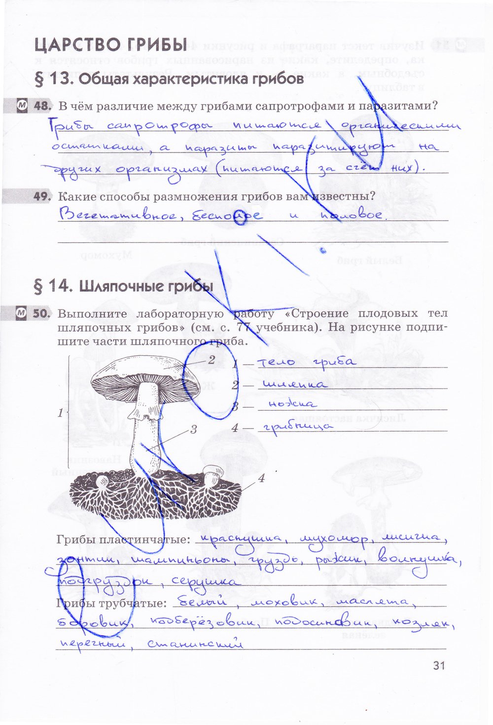гдз 5  класс Рабочая тетрадь страница 31 Биология Пасечник В.В.