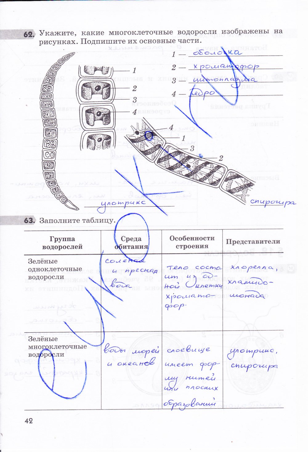 гдз 5  класс Рабочая тетрадь страница 42 Биология Пасечник В.В.