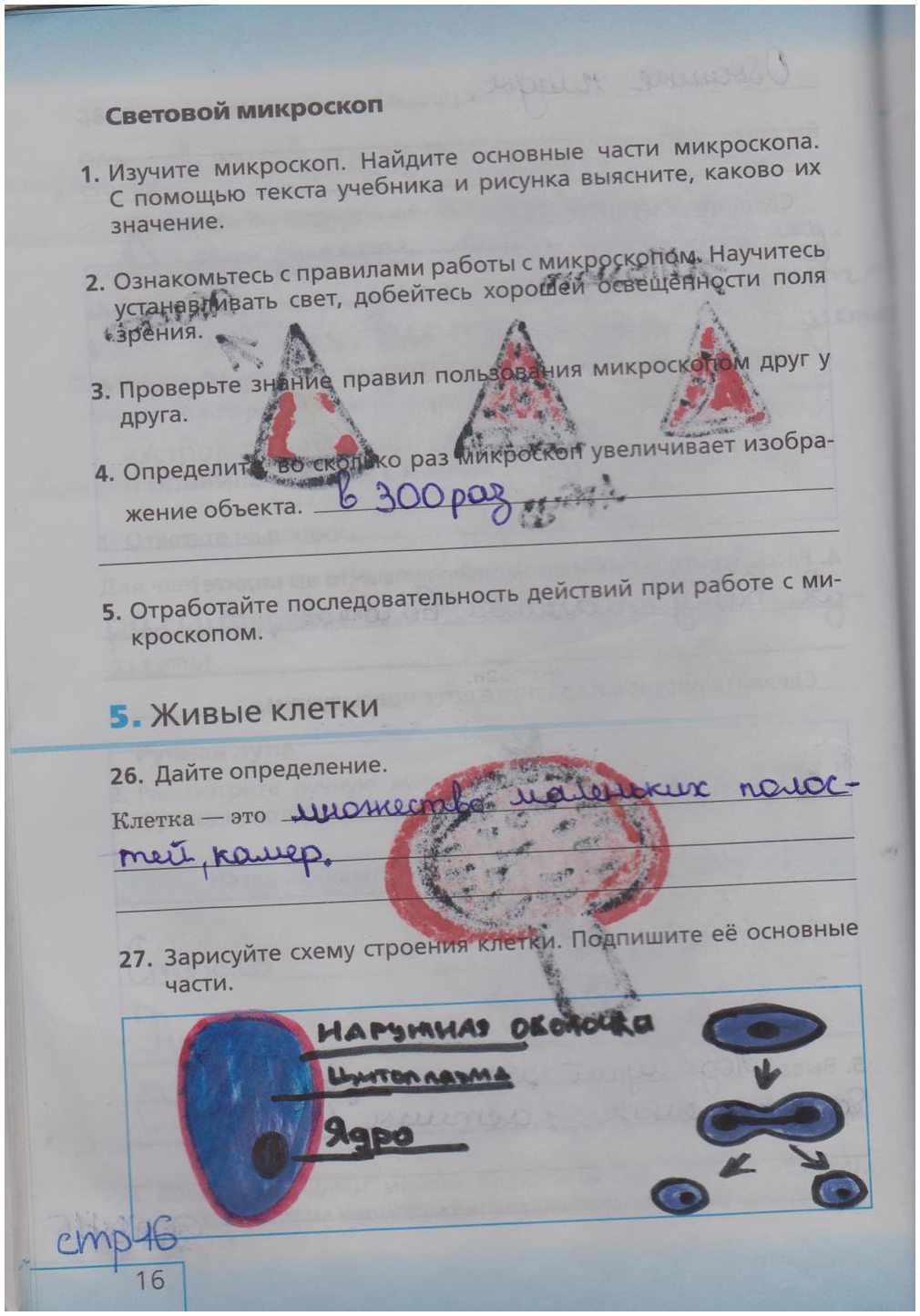 гдз 5  класс Рабочая тетрадь страница 16 Биология Сонин Н.И.