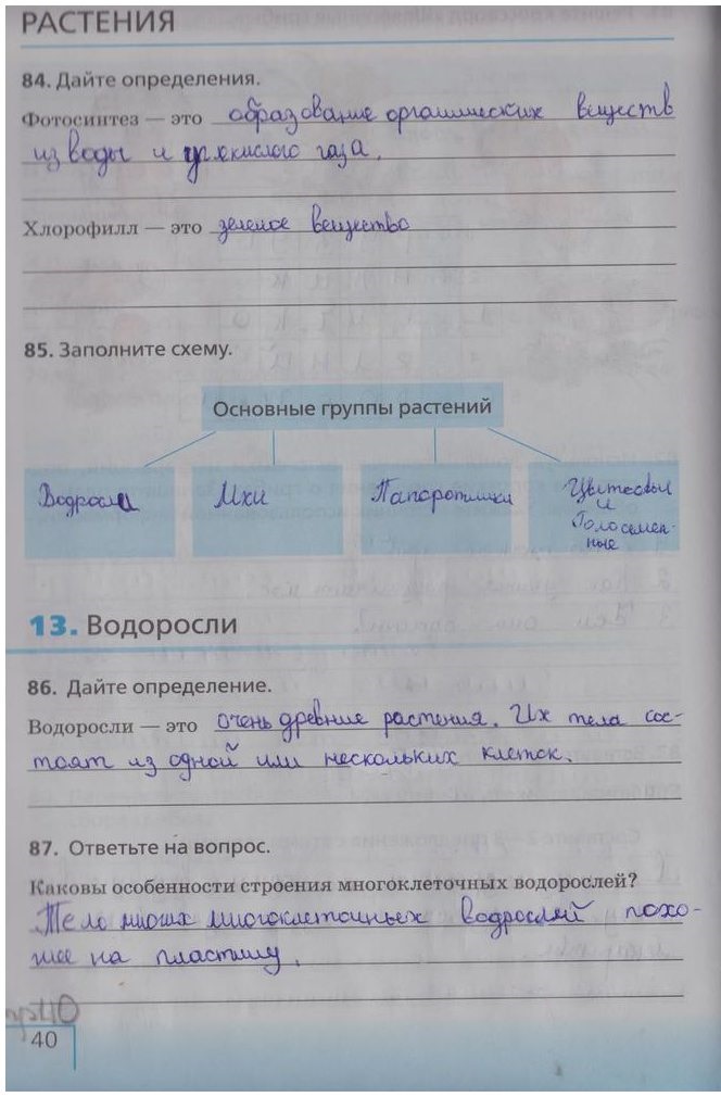 гдз 5  класс Рабочая тетрадь страница 40 Биология Сонин Н.И.