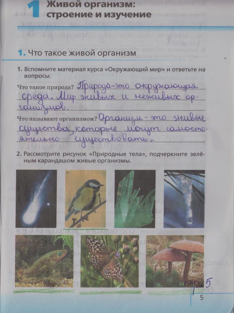гдз 5  класс Рабочая тетрадь страница 5 Биология Сонин Н.И.