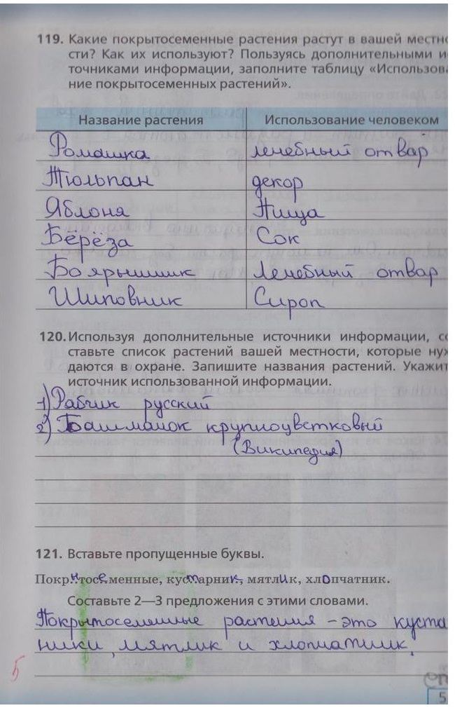 гдз 5  класс Рабочая тетрадь страница 53 Биология Сонин Н.И.