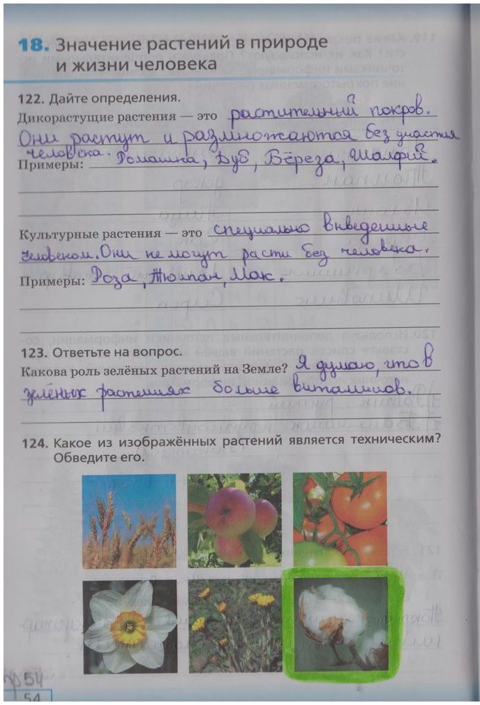 гдз 5  класс Рабочая тетрадь страница 54 Биология Сонин Н.И.