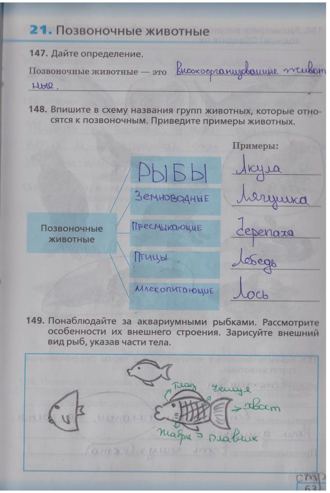гдз 5  класс Рабочая тетрадь страница 63 Биология Сонин Н.И.