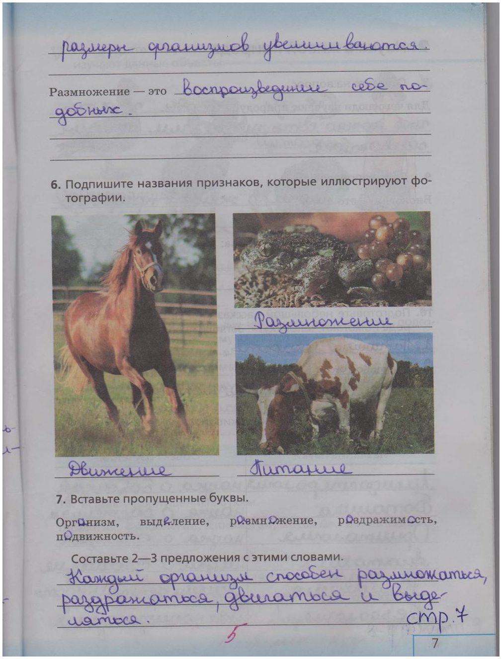 гдз 5  класс Рабочая тетрадь страница 7 Биология Сонин Н.И.