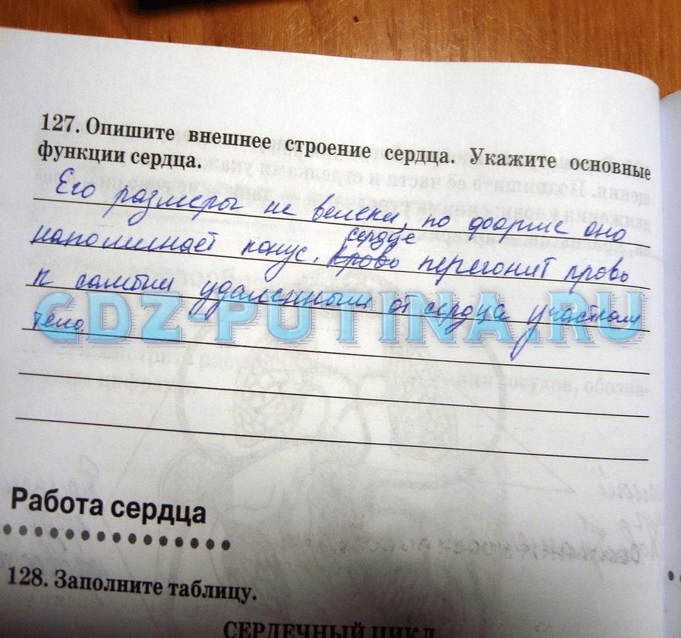 гдз 8 класс Рабочая тетрадь   задание 127 Биология Сонин Н.И., Агафонова И.Б.