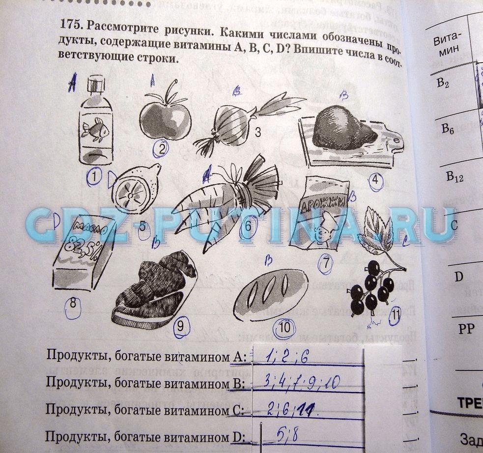гдз 8 класс Рабочая тетрадь   задание 175 Биология Сонин Н.И., Агафонова И.Б.