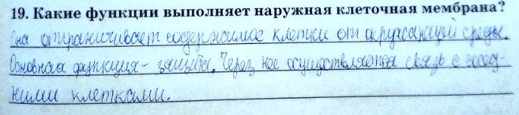 гдз 8 класс Рабочая тетрадь   задание 19 Биология Сонин Н.И., Агафонова И.Б.