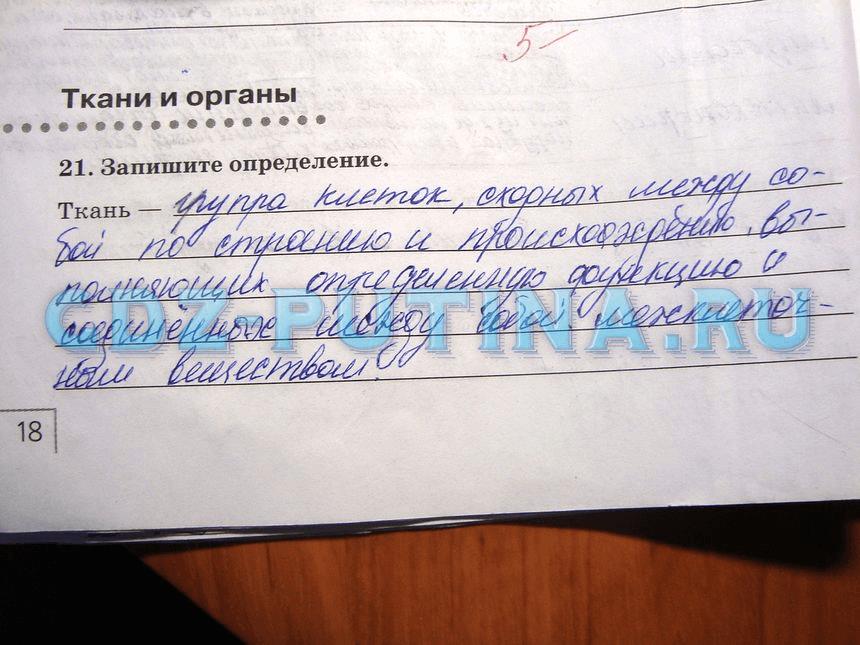гдз 8 класс Рабочая тетрадь   задание 21 Биология Сонин Н.И., Агафонова И.Б.