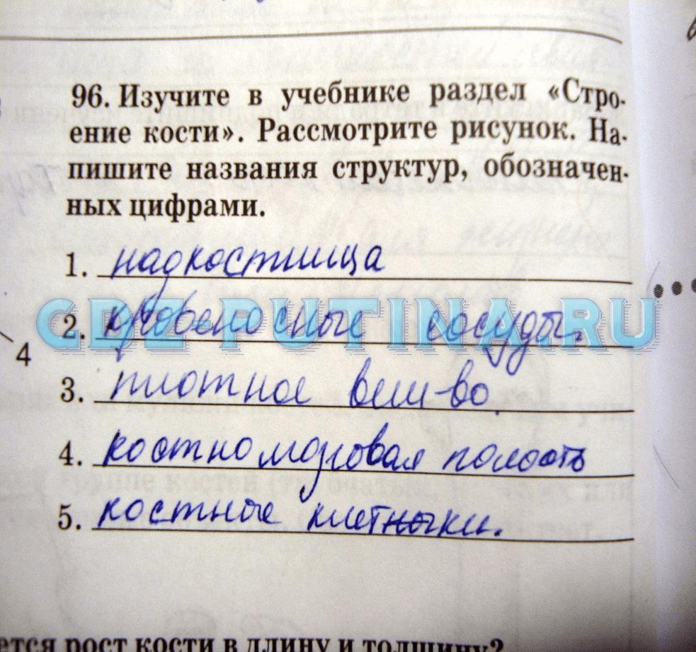гдз 8 класс Рабочая тетрадь   задание 96 Биология Сонин Н.И., Агафонова И.Б.