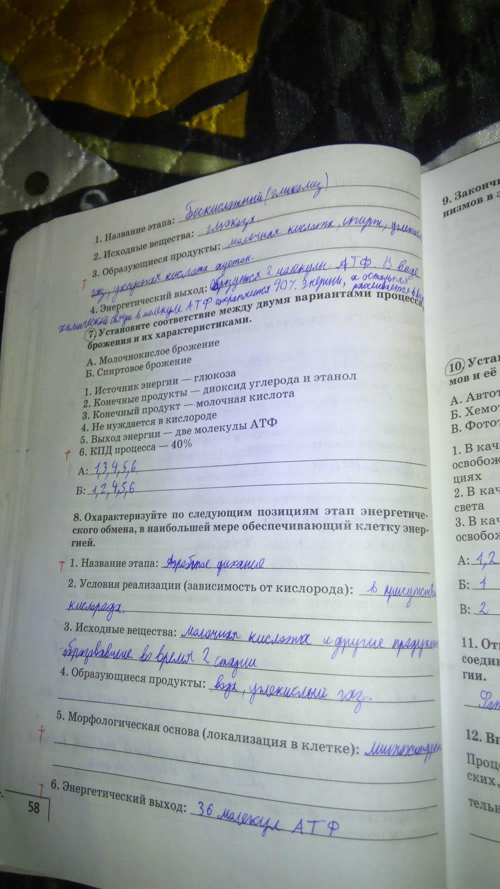 гдз 9 класс Рабочая тетрадь    задание 58 Биология Мамонтов С.Г., Захаров В.Б.
