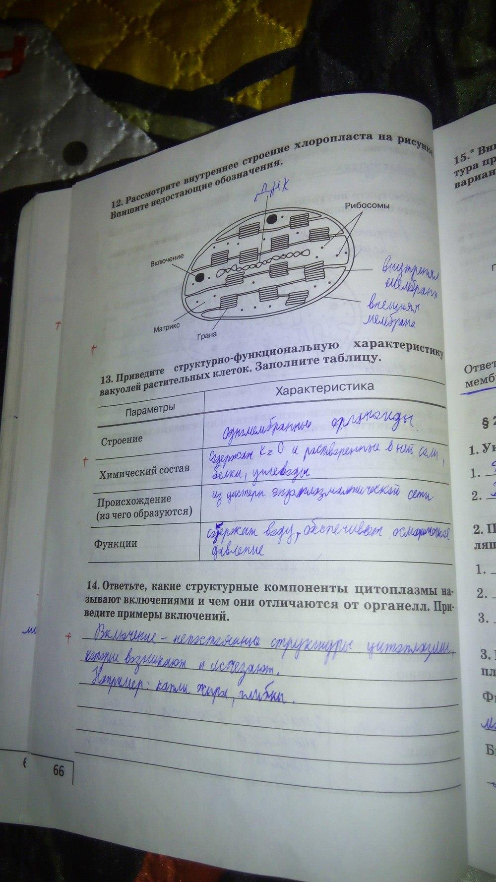 гдз 9 класс Рабочая тетрадь    задание 66 Биология Мамонтов С.Г., Захаров В.Б.